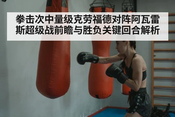 boxer punching bag training